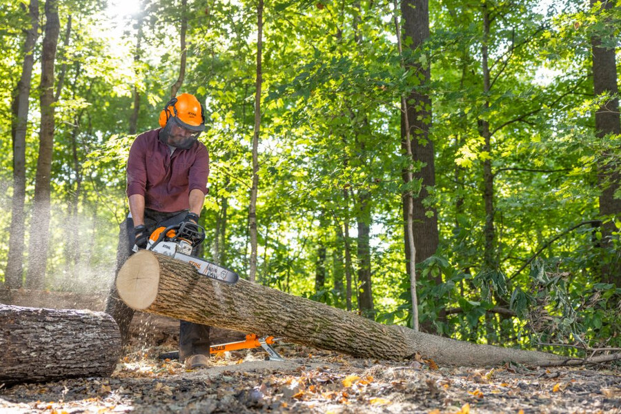 ms 271 gasoline chainsaw