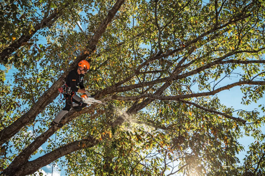 msa 220 tc-o battery powered chainsaw