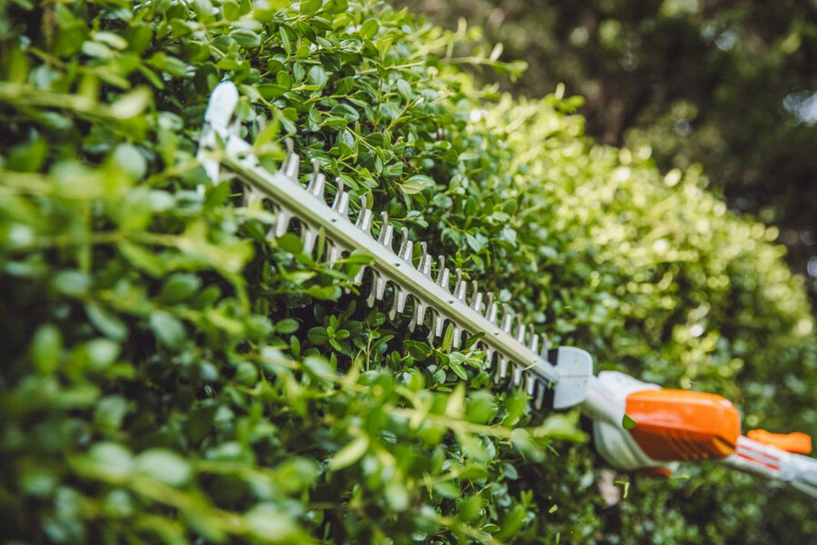 hla 56 battery powered extended-reach hedge trimmer