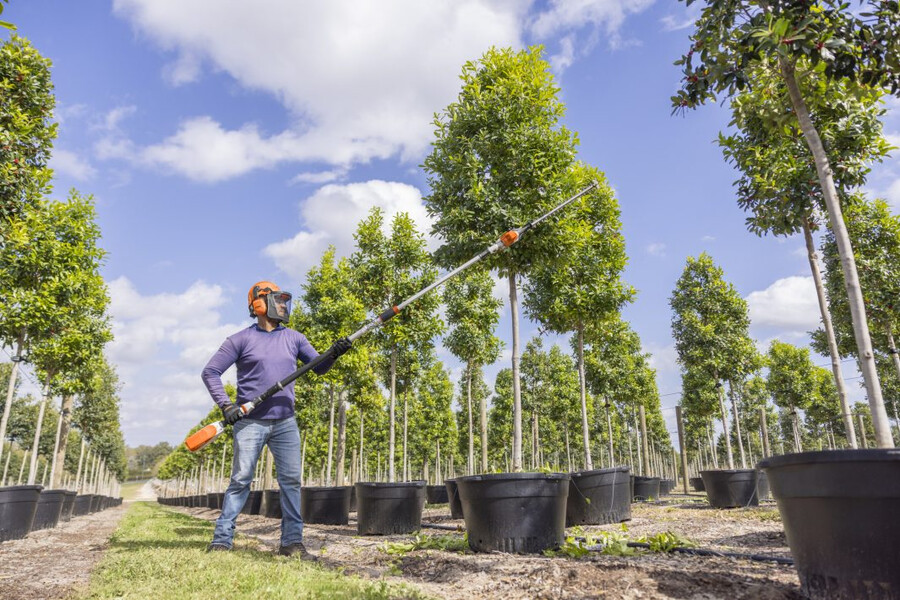 hla 86 battery powered extended-reach hedge trimmer