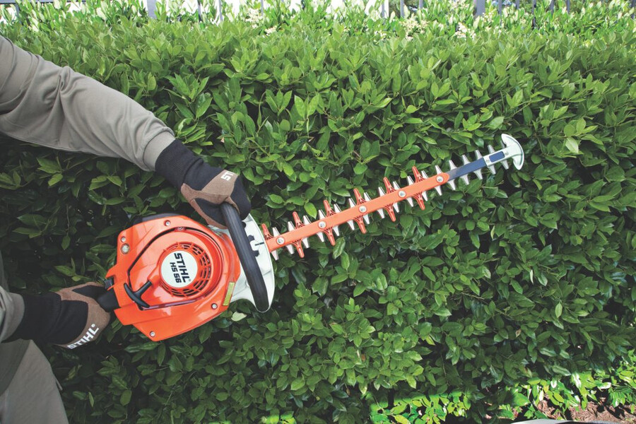 hs 56 gasoline hedge trimmer