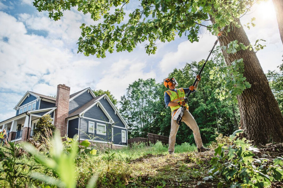 hta 135 battery powered pole pruner
