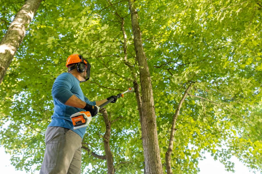hta 50 battery powered pole pruner