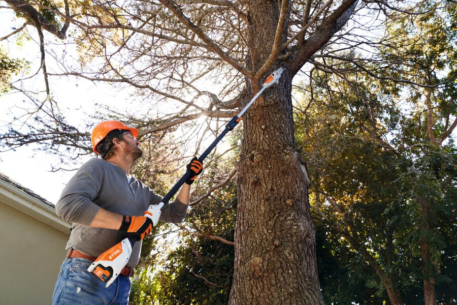 hta 50 battery powered pole pruner