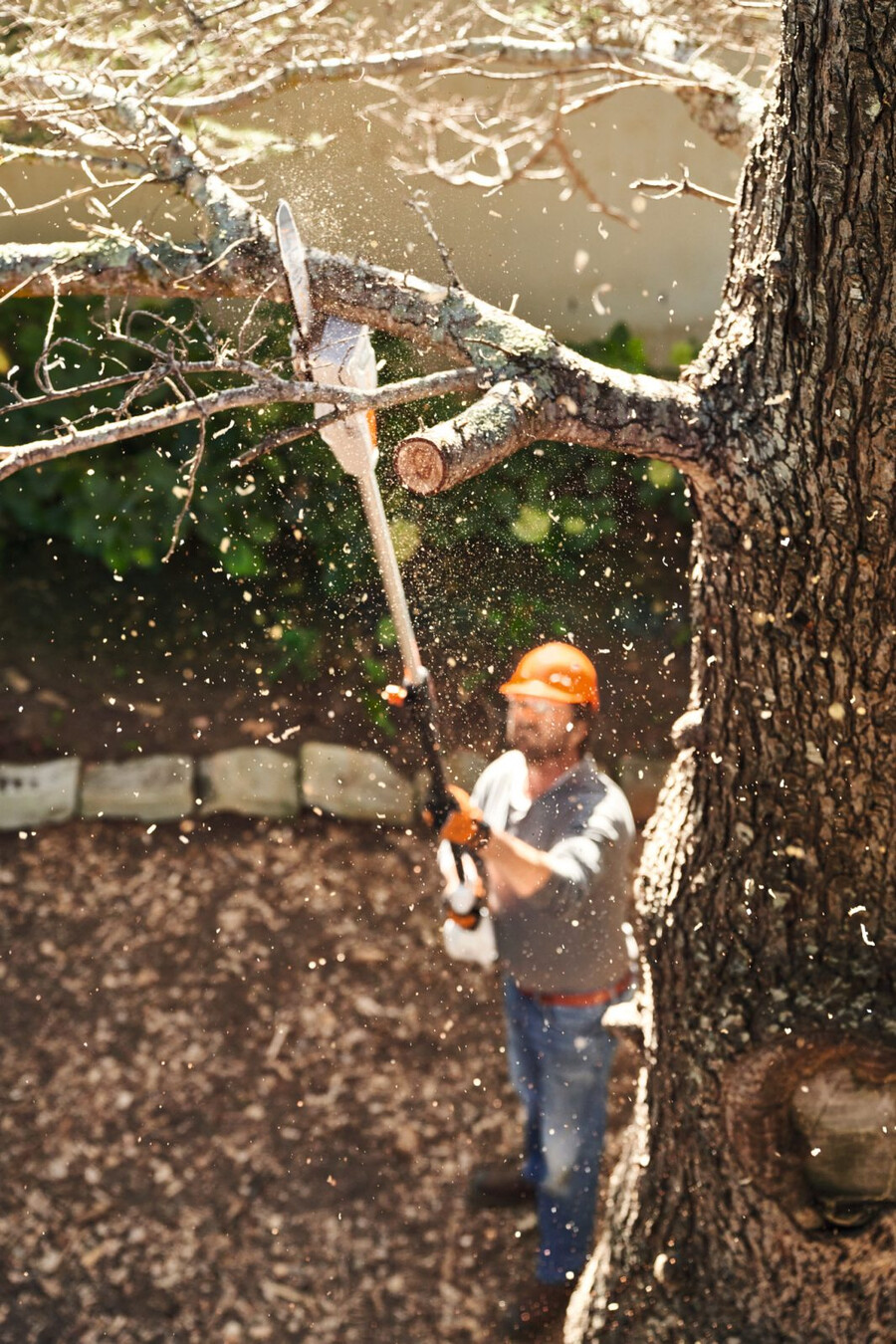 hta 50 battery powered pole pruner